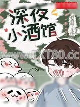 《深夜小酒馆》小说封面