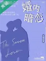 《婚内暗恋》小说封面
