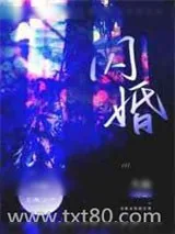 《闪婚》小说封面
