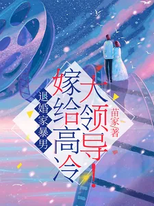 《退婚家暴男，嫁给高冷大领导！》小说封面