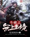 《斗破之无上之境》小说封面