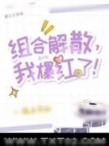 《组合解散,我爆红了!》小说封面