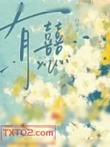 《有囍》小说封面