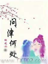 《问津何处》小说封面