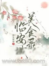 《临安城美食录》小说封面