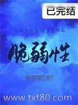 《脆弱性》小说封面