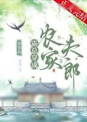 《霸总穿成农家夫郎》小说封面