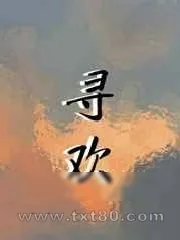 《寻欢》小说封面