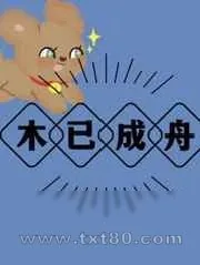 《木已成舟》小说封面
