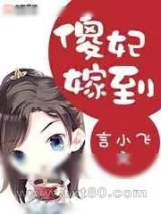 《傻妃嫁到》小说封面