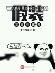 《假装至高在诸天》小说封面