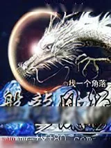 《盘龙》小说封面