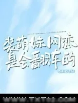 《装萌妹网恋是会翻车的》小说封面