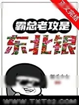 《霸总老攻是东北银》小说封面