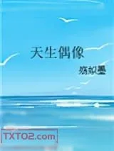 《天生偶像》小说封面