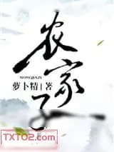 《农家子》小说封面