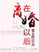 《在离婚以后》小说封面