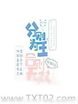 《分则为王，合则无双》小说封面
