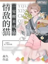 《一觉醒来成了情敌的猫》小说封面