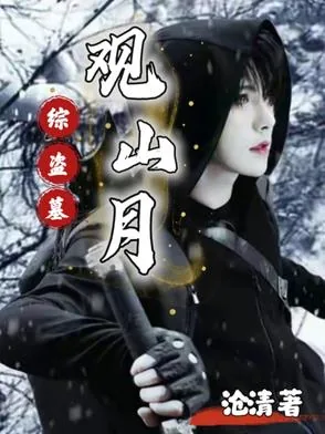 《综盗墓:观山月》小说封面