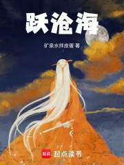 《跃沧海》小说封面