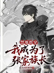 《禁地群穿：我成为了张家族长》小说封面