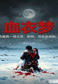 《血衣梦》小说封面