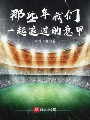《那些年我们一起追过的意甲》小说封面