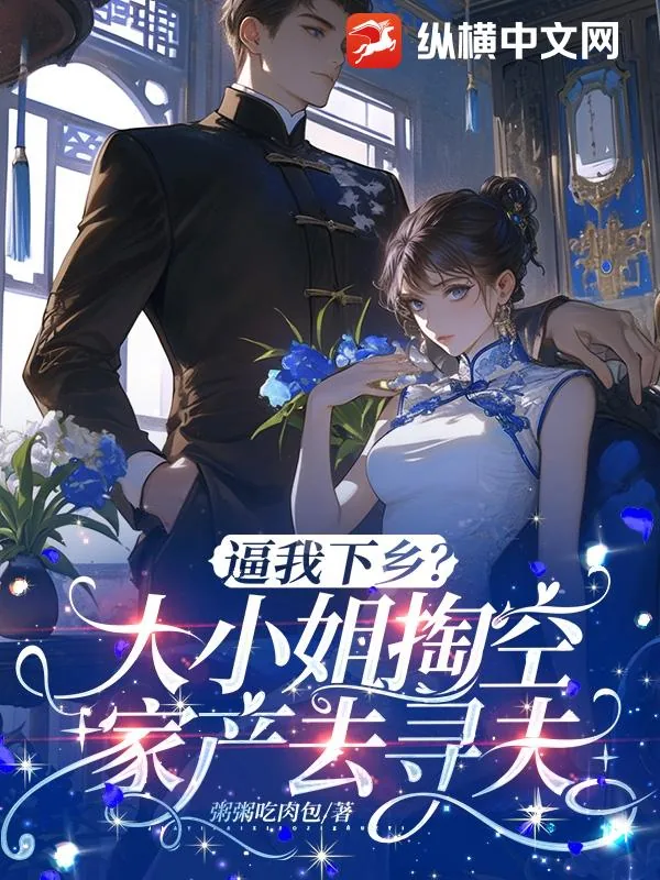 《逼我下乡？大小姐掏空家产千里寻夫》小说封面