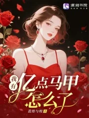 《我有亿点马甲怎么了？》小说封面
