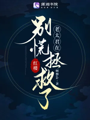 《红楼:别慌,老太君在拯救了》小说封面