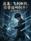 《盗墓:飞剑斩煞,你管这叫倒斗?》小说封面