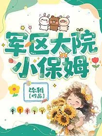 《军区大院小保姆》小说封面