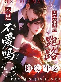《不是不爱吗?太太带娃跑路你急什么》小说封面