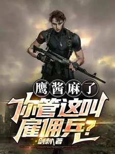 《鹰酱麻了你管这叫雇佣兵？》小说封面