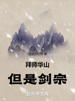《拜师华山,但是剑宗!》小说封面