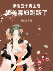 《撩倒五个男主后,娇美寡妇跑路了》小说封面