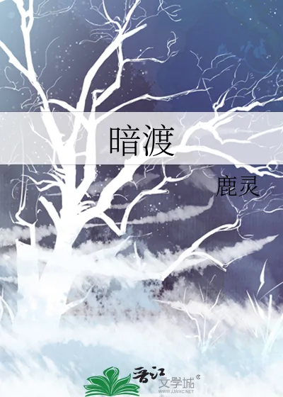 《暗渡》小说封面