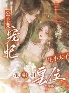 《公主变宠妃，生小太子抢姐姐皇位》小说封面
