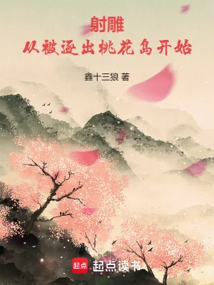 《射雕:从被逐出桃花岛开始》小说封面