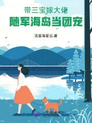 《带三宝嫁大佬,随军海岛当团宠》小说封面