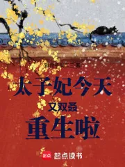 《太子妃今天又双叒重生啦》小说封面