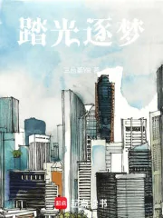 《踏光逐梦》小说封面
