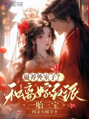 《逼养外室子？和离嫁反派一胎三宝》小说封面