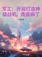 《军工：开局打造神级战机，鹰酱麻了！》小说封面