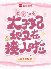 《清穿:救命!太子妃她又在揍人啦》小说封面