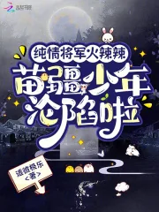 《纯情将军火辣辣，苗疆少年沦陷啦》小说封面