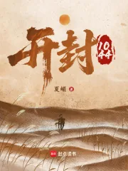 《开封1044》小说封面