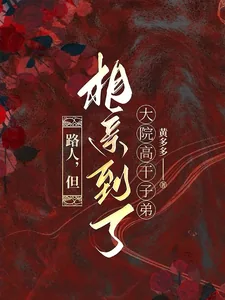 《路人,但相亲到了大院高干子弟》小说封面