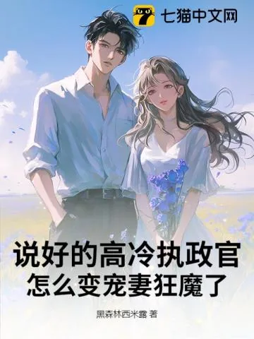 《嫁给高冷执政官后，小记者求轻宠》小说封面